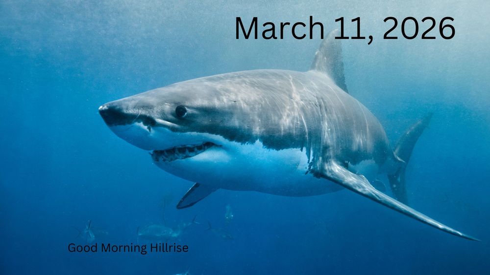 Announcements March 11, 2026