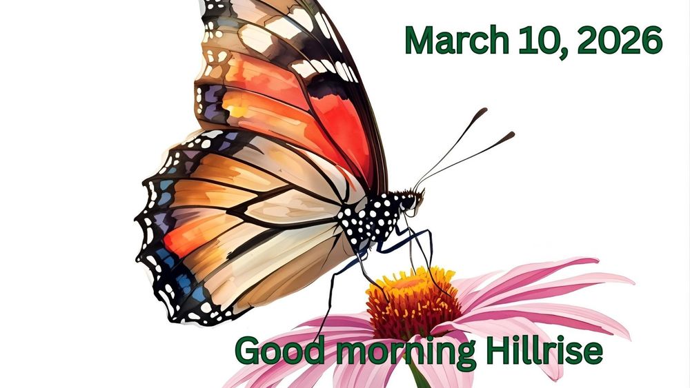 Announcements March 10, 2026