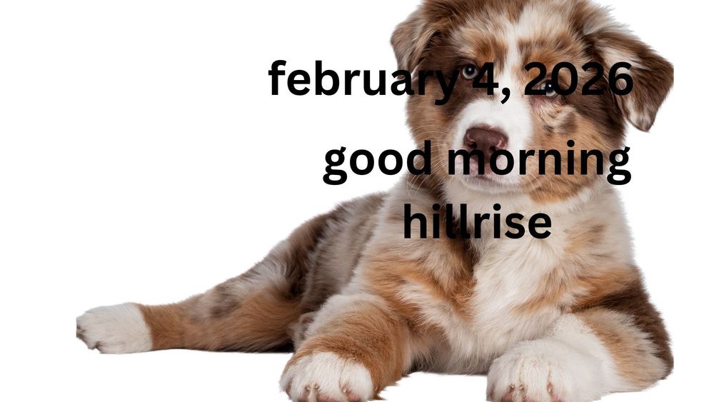 Announcements February 4, 2026