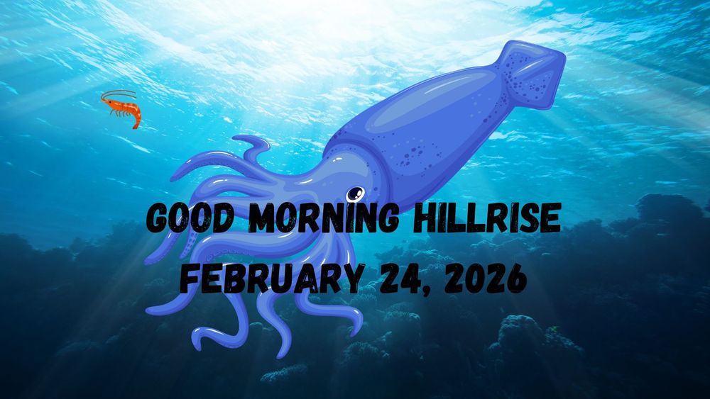 Announcements February 24, 2026