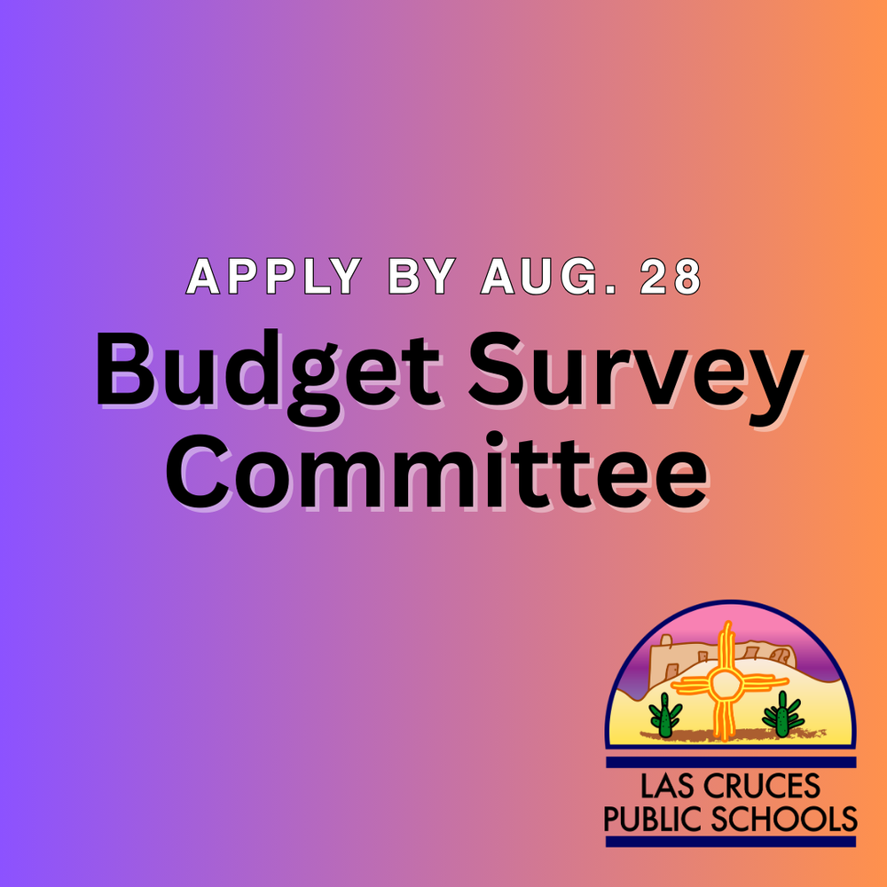 PURPLE AND ORANGE GRADIENT GRAPHIC WITH INFORMATION ON THE BUDGET SURVEY COMMITTEE DEADLINE