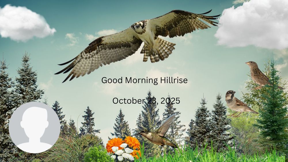 Announcements 23, 2025