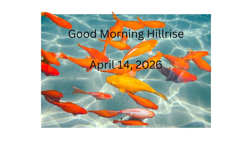 Announcements April 14, 2026