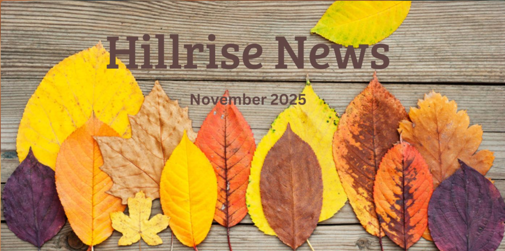 November Newsletter