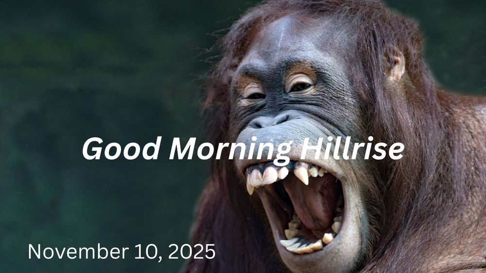 Announcements November 10, 2025