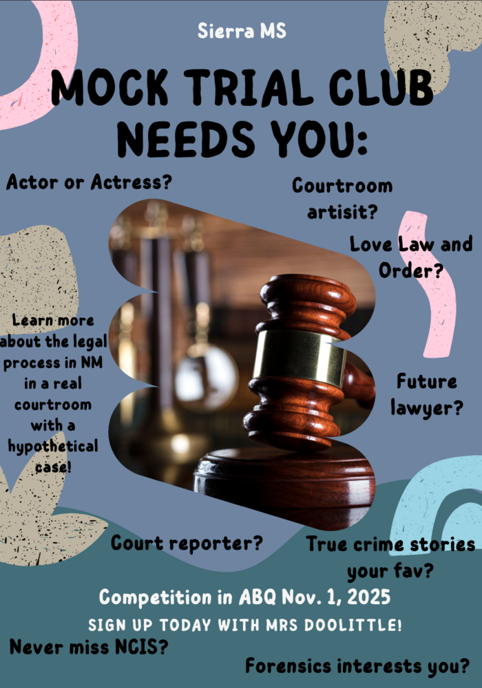 Mock Trial Flyer