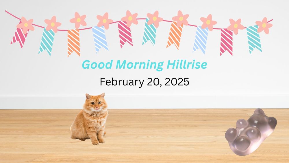 Announcements February 20, 2026