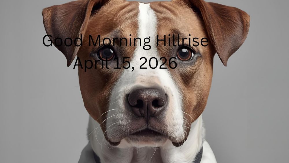 Announcements April 15, 2026