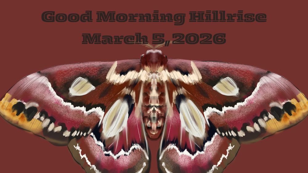 Announcements March 5, 2026