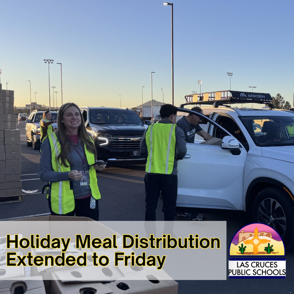photo of volunteers loading holiday meals in vehicles