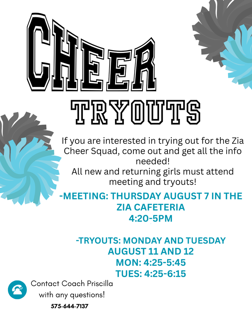 Cheer Flyer