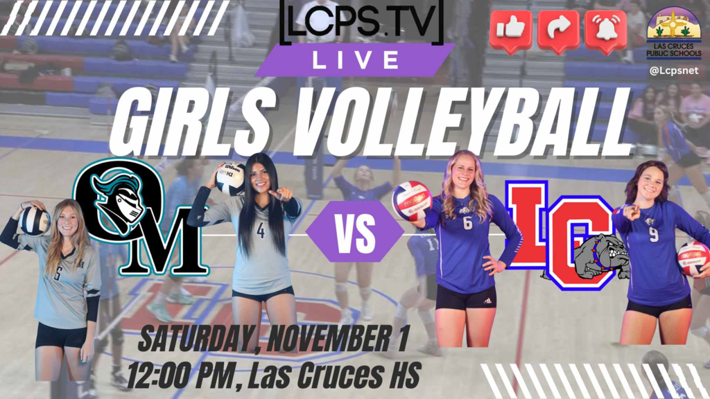 Get ready for an epic volleyball showdown!