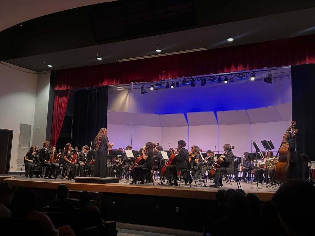 Congratulations to all of our orchestra students and teachers who travelled over the weekend to the first annual La Cueva HS Bear Classic String Invitational! 