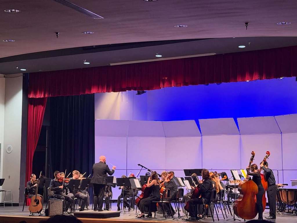 Congratulations to all of our orchestra students and teachers who travelled over the weekend to the first annual La Cueva HS Bear Classic String Invitational! 