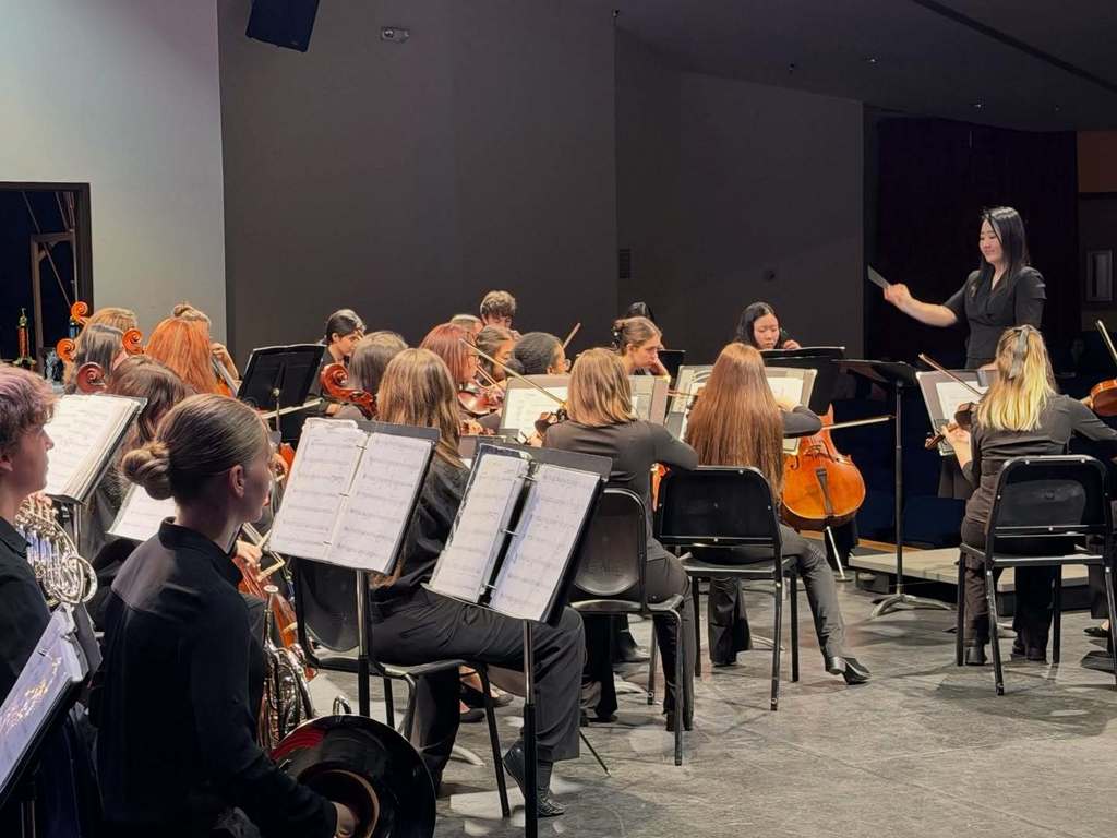 Congratulations to all of our orchestra students and teachers who travelled over the weekend to the first annual La Cueva HS Bear Classic String Invitational! 