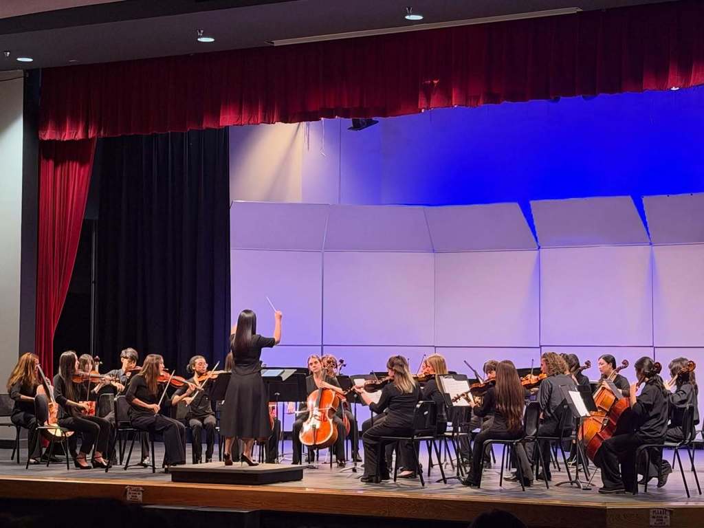 Congratulations to all of our orchestra students and teachers who travelled over the weekend to the first annual La Cueva HS Bear Classic String Invitational! 