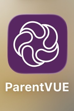 purple icon on a yellow gradient background