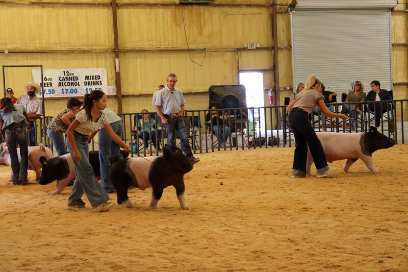 FFA students showcase months of hard work at the Doña Ana County Fair