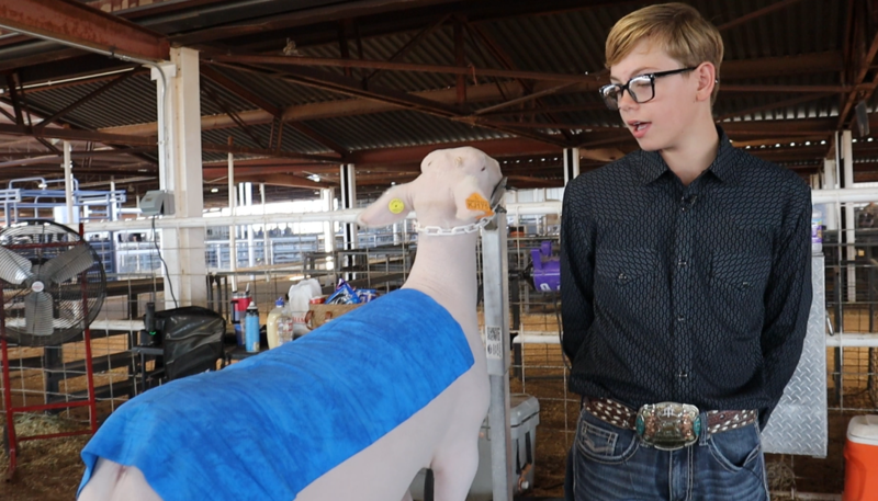 FFA students showcase months of hard work at the Doña Ana County Fair