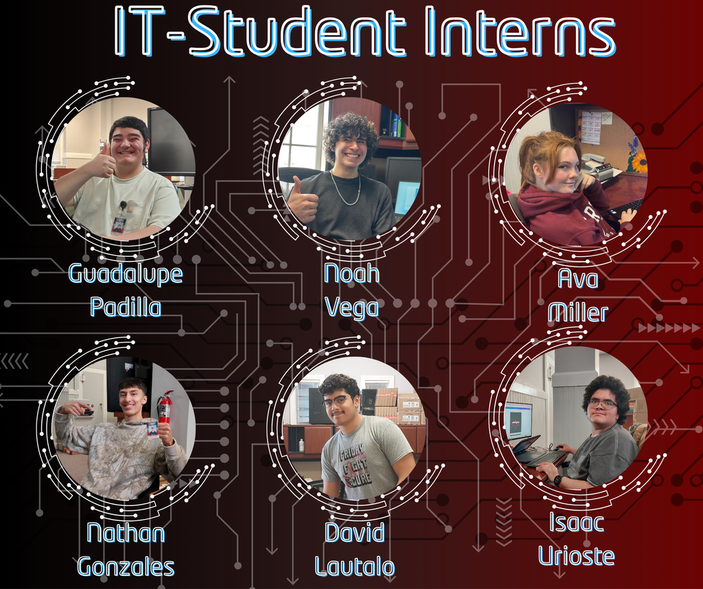 it student interns