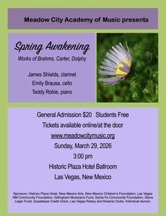 Spring concert flyer