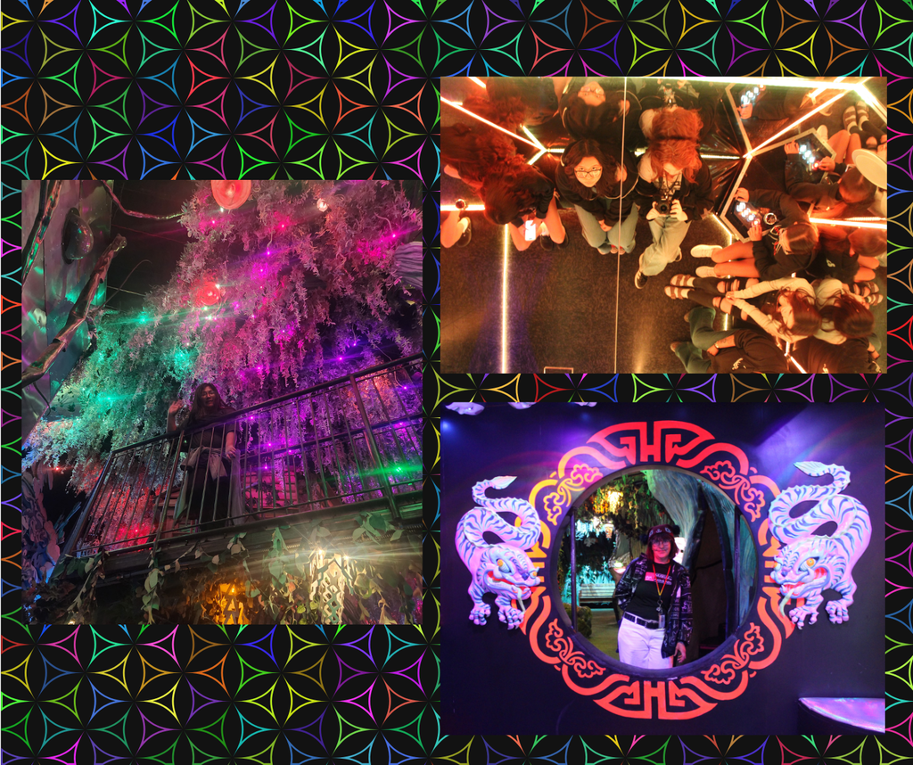 RHS Digital Arts Field Trip Photo Collage