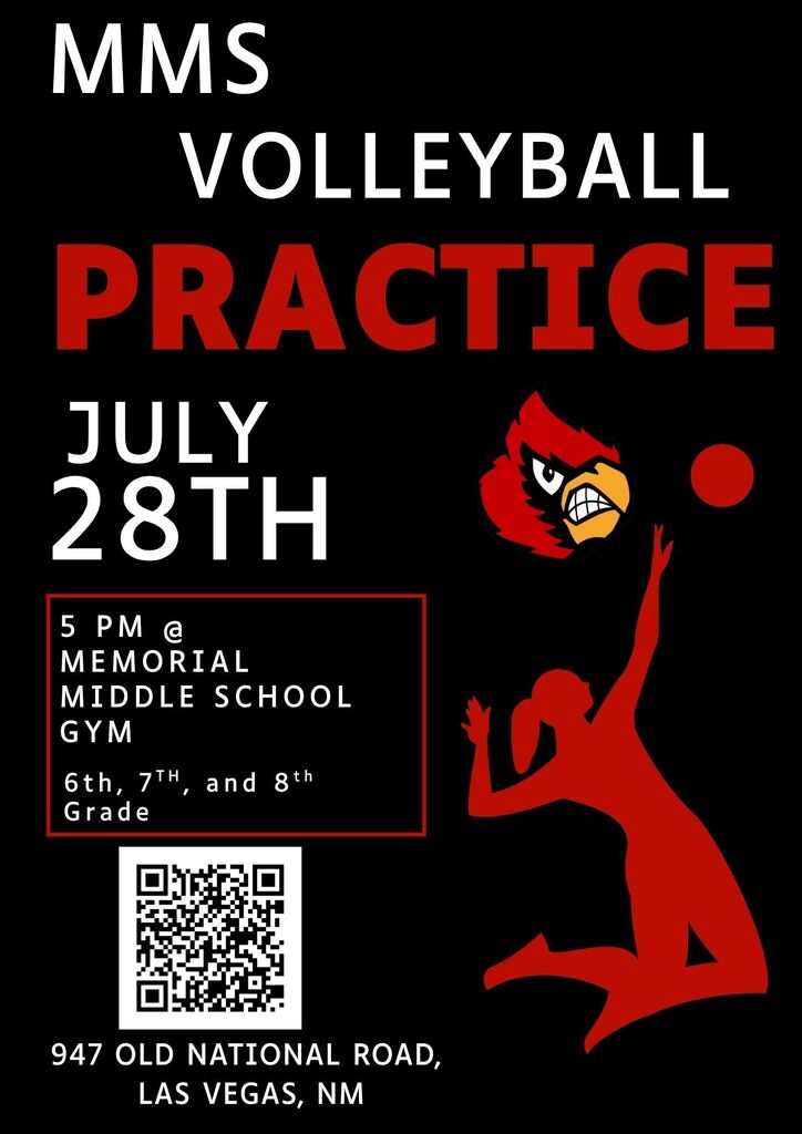 MMS Volleyball