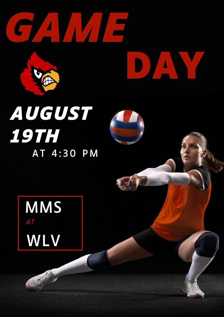Volleyball Game day