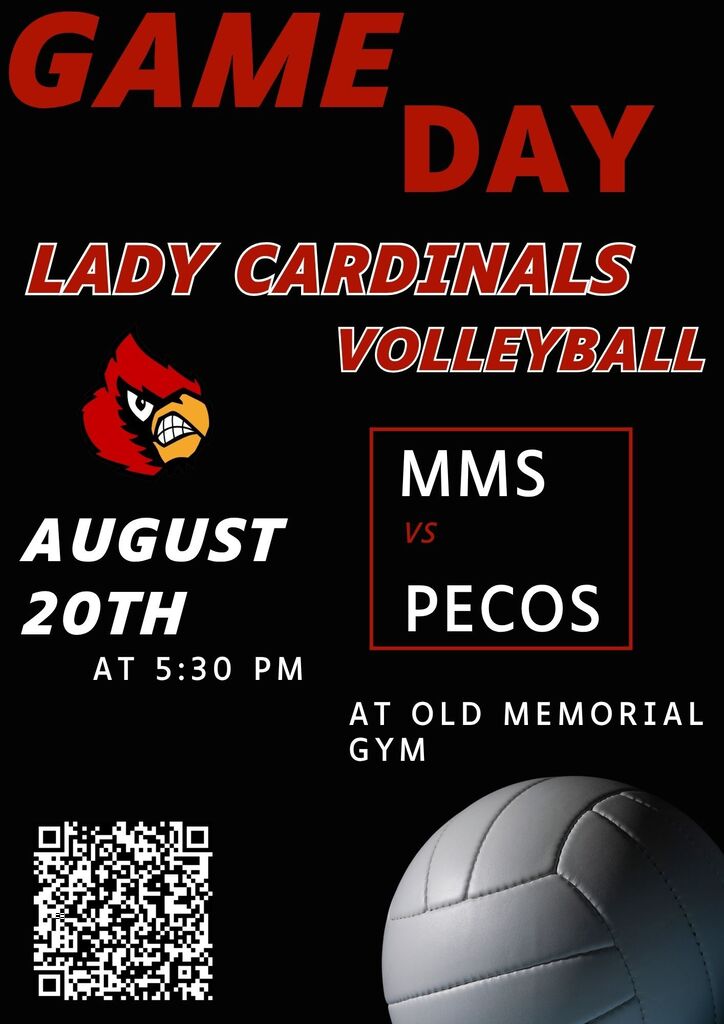 Volleyball Game day