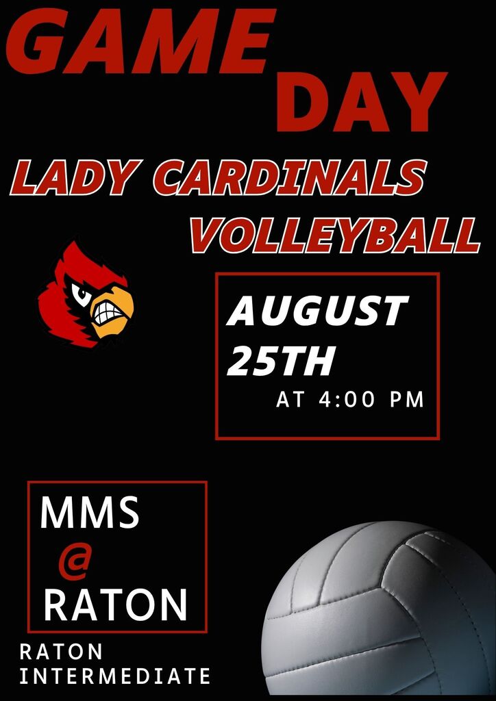 Volleyball Game day