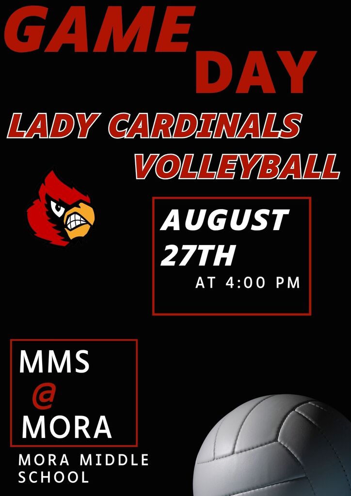 Volleyball Game day