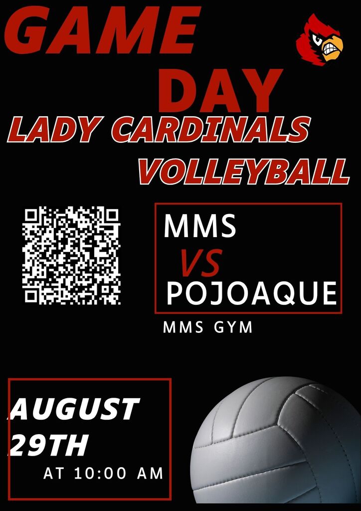 Volleyball game day