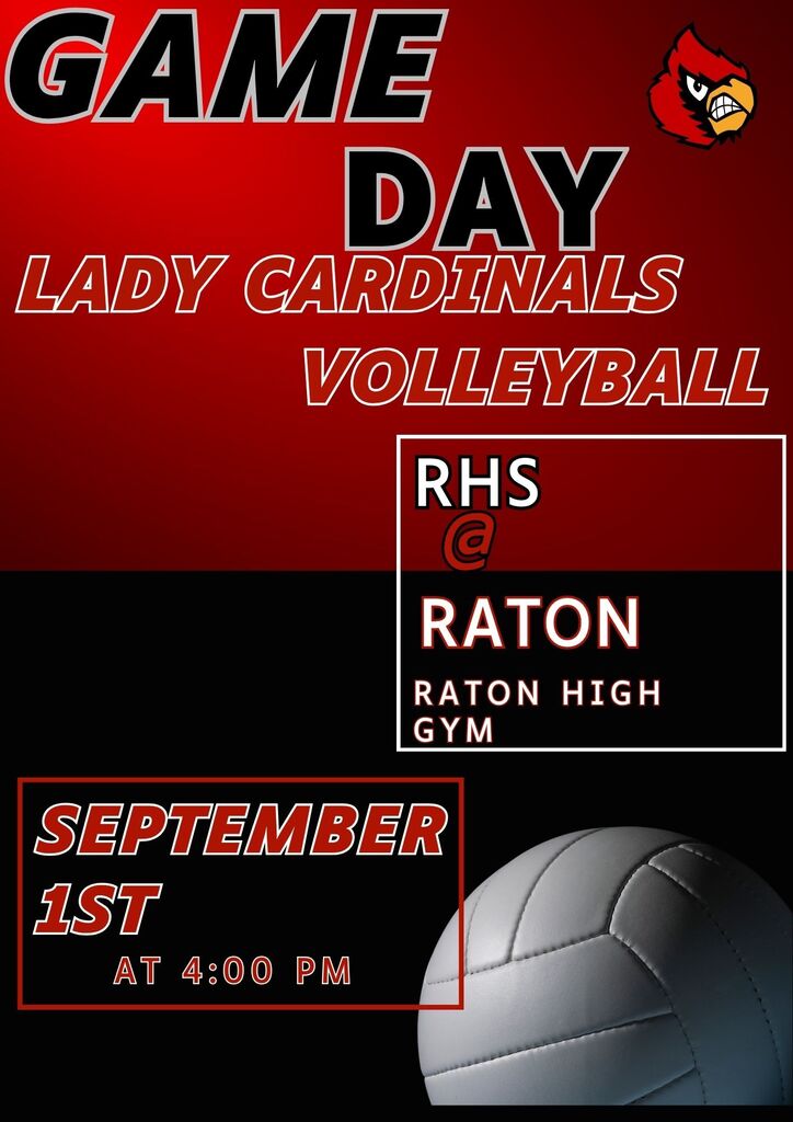 Volleyball Game day