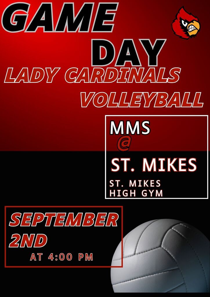 Volleyball Game day