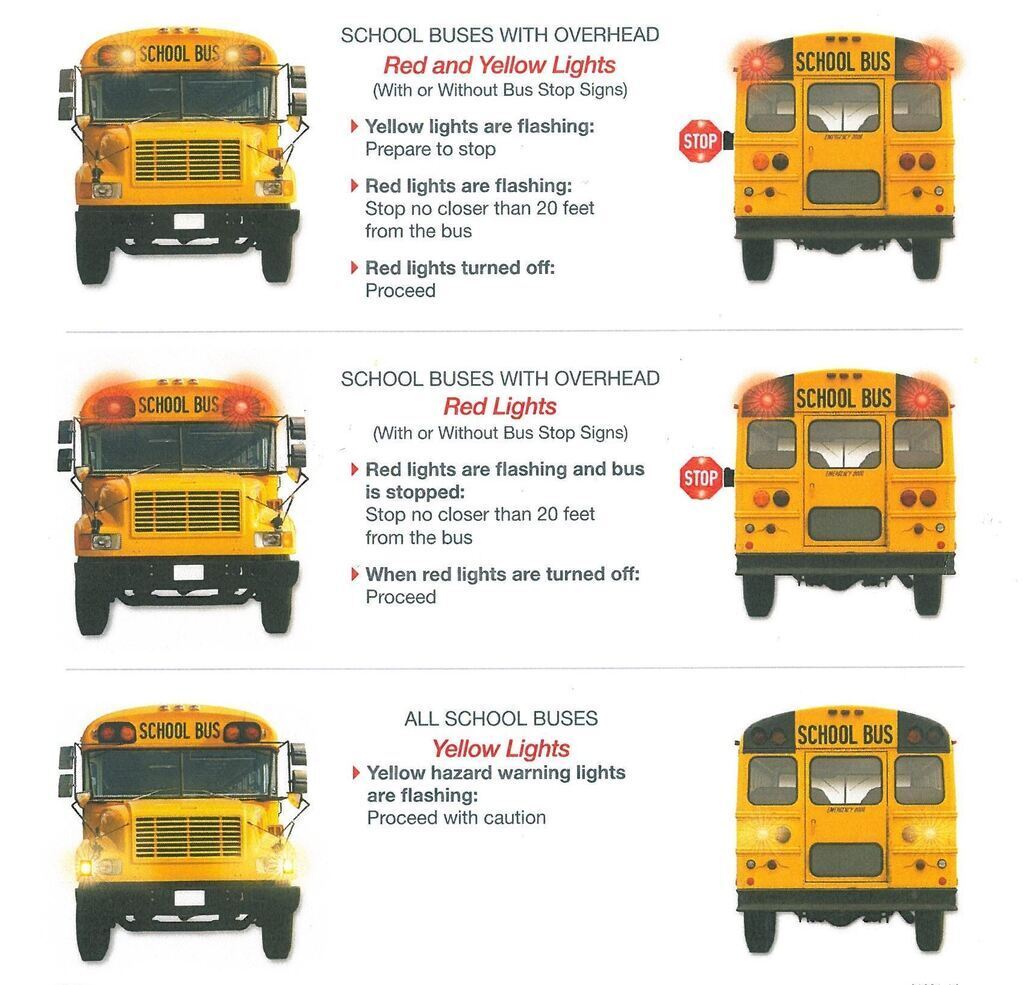 School Bus Safety