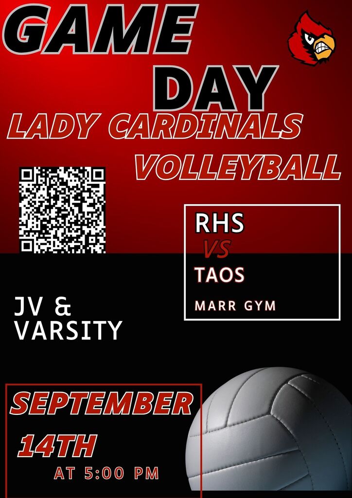 Volleyball game day