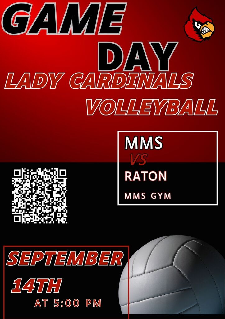 Volleyball Game day