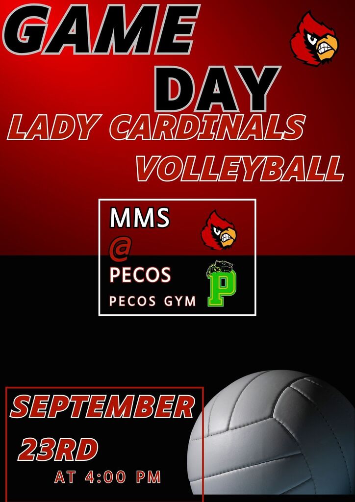 Volleyball Game day