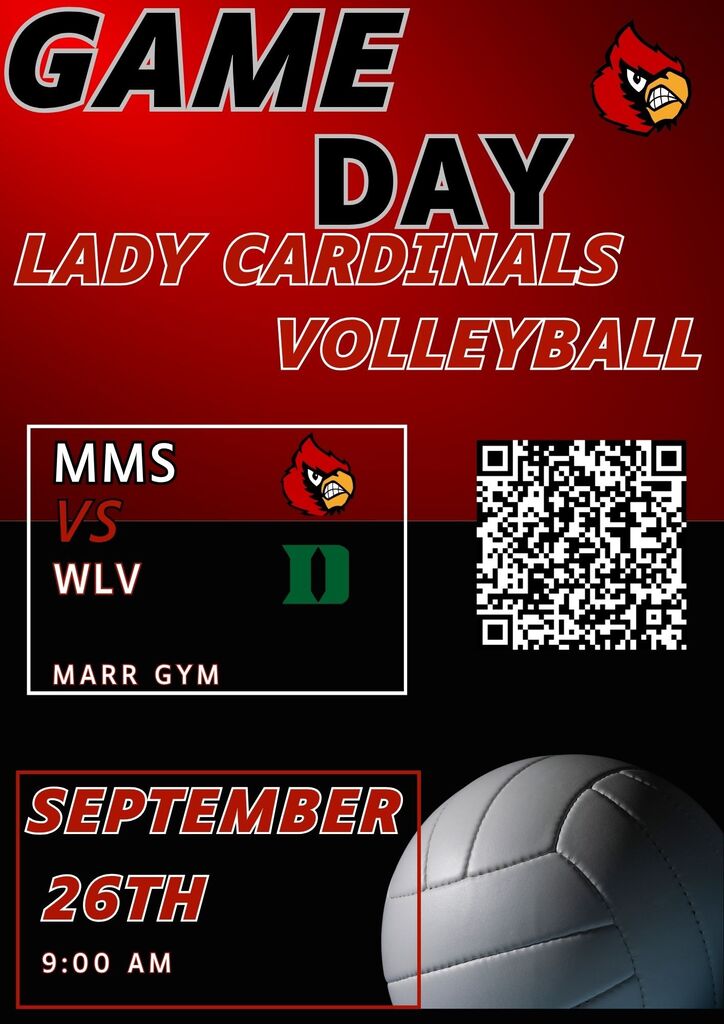 Volleyball game day