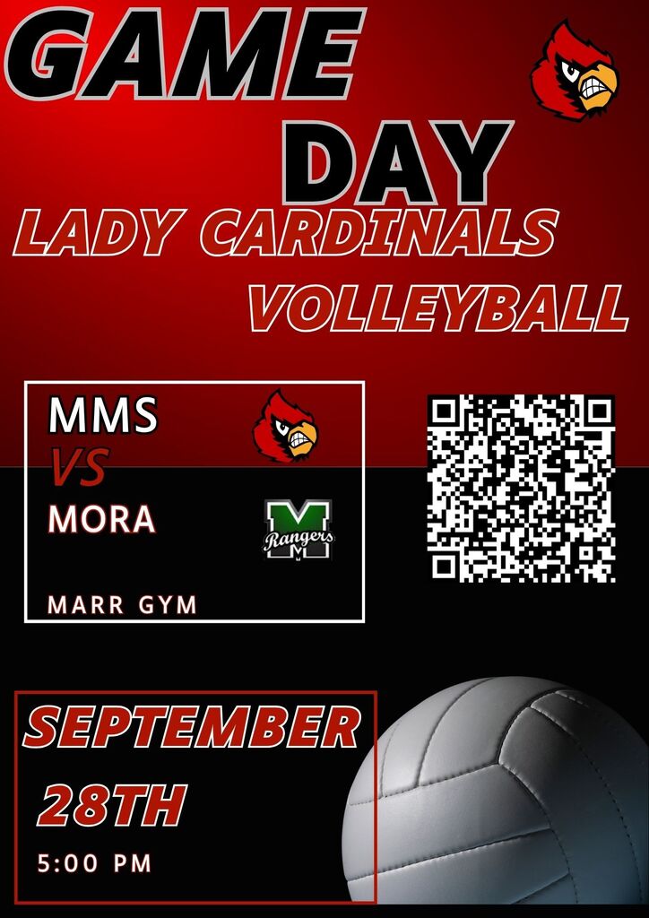 Volleyball Game day
