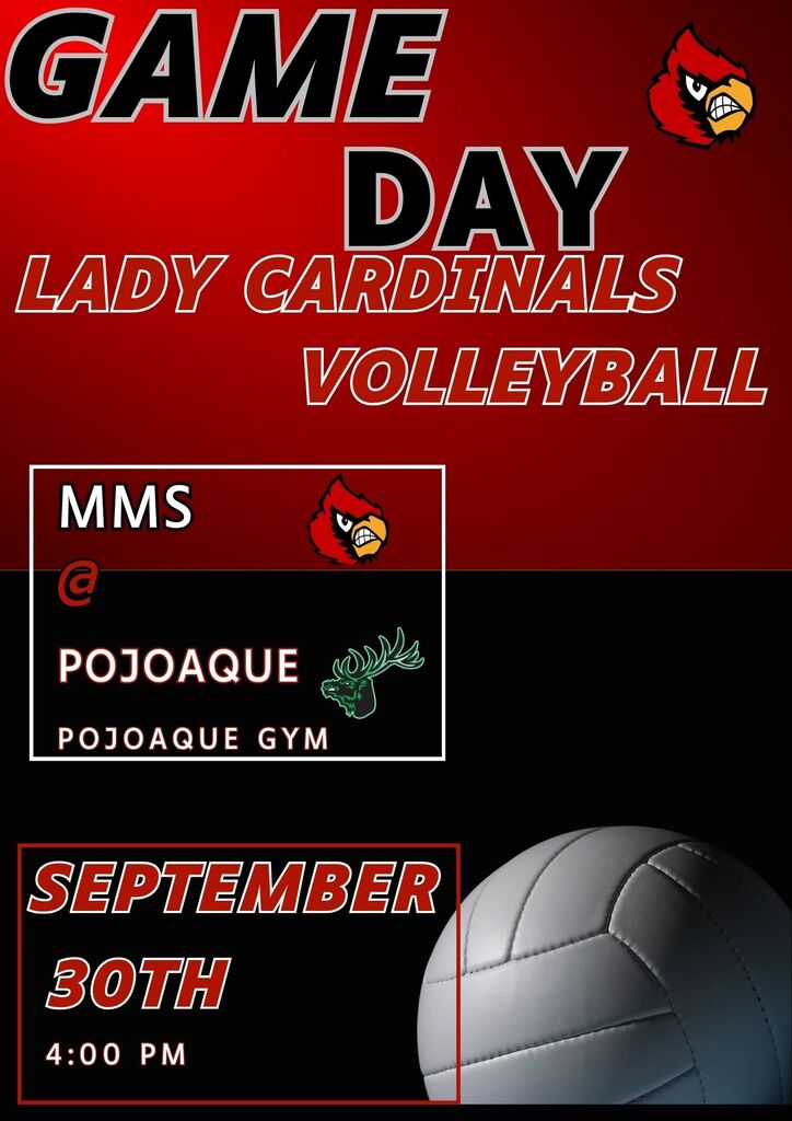 Volleyball Game day