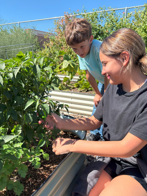 students picking jalapeño