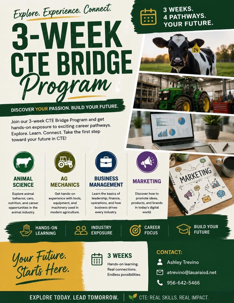 summer bridge