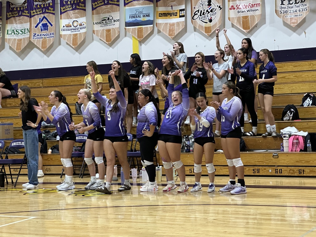 LHS Volleyball Team