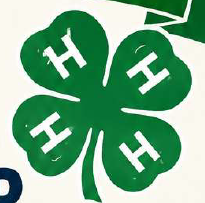 4h