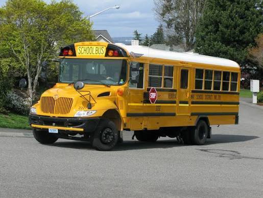 bus