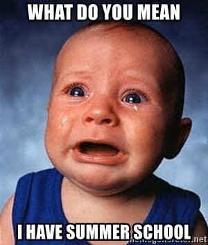summer school