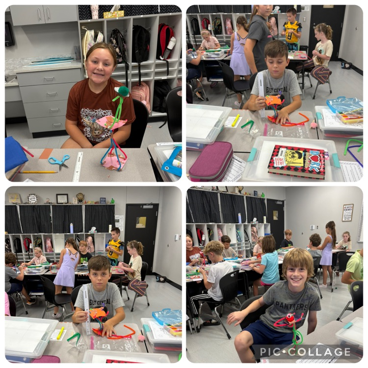 Using The Engineering Design Process , Mrs. Johnson’s fourth grade science class engineered a seat to help Harry the pet see better in class.🧬🔭🧪