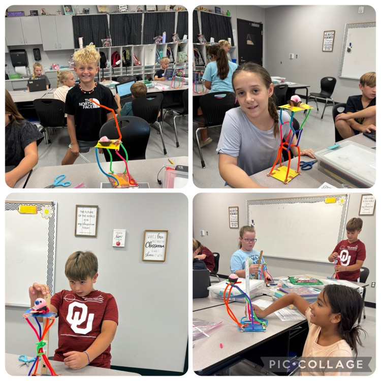 Using The Engineering Design Process , Mrs. Johnson’s fourth grade science class engineered a seat to help Harry the pet see better in class.🧬🔭🧪
