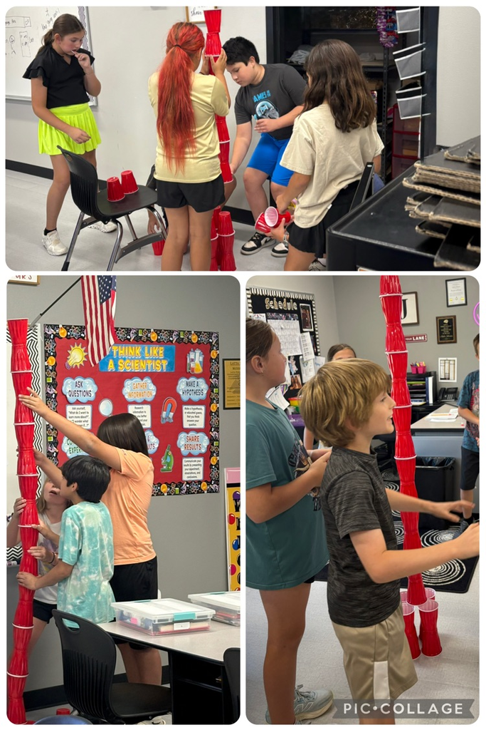 Mrs. Johnston’s 4th Grade Science Class learned about Mindsets in Science last week. They had to have a Growth Mindset, resilience, curiosity, persistence, and creativity to build the tallest tower. 